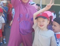 img (5)